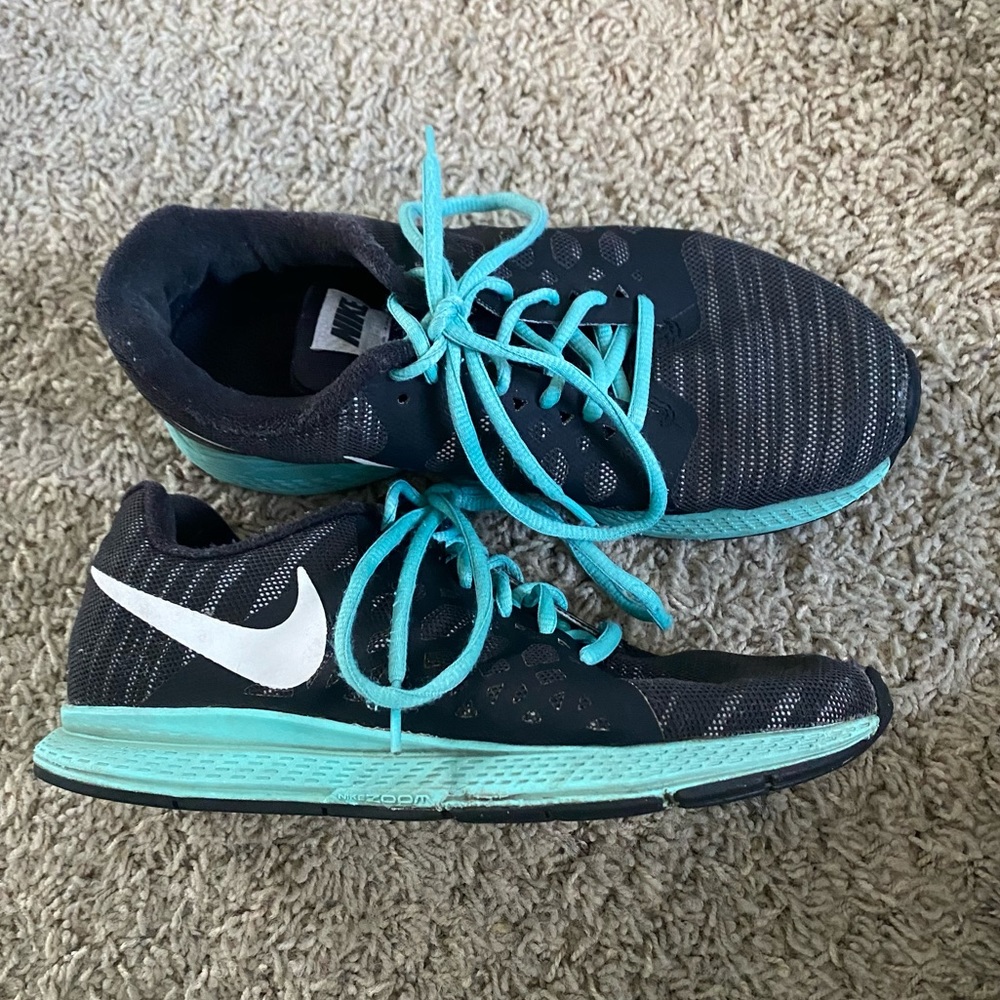 Nike Zoom Pegasus 31